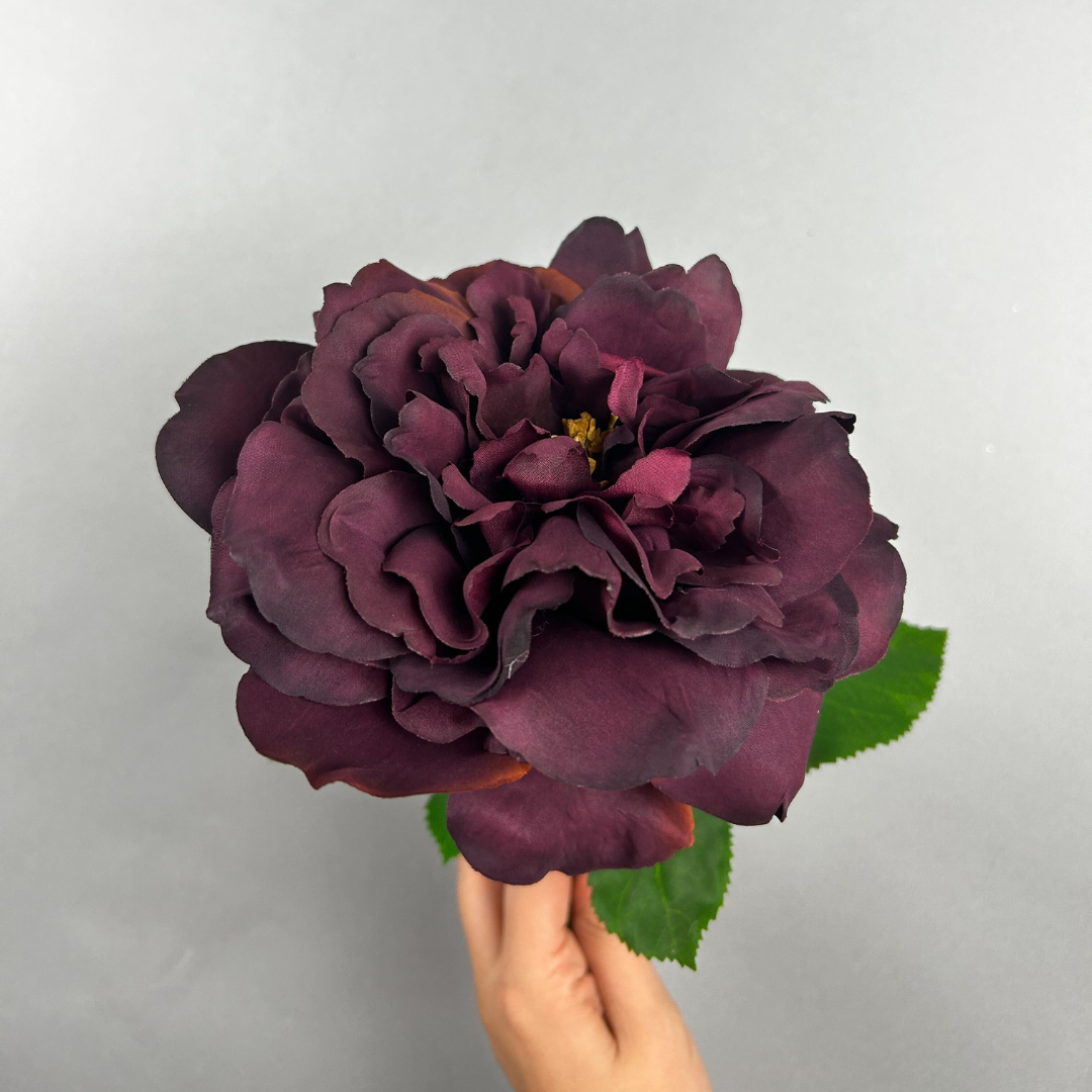 Balmoral Wild Rose Burgundy (65cm)