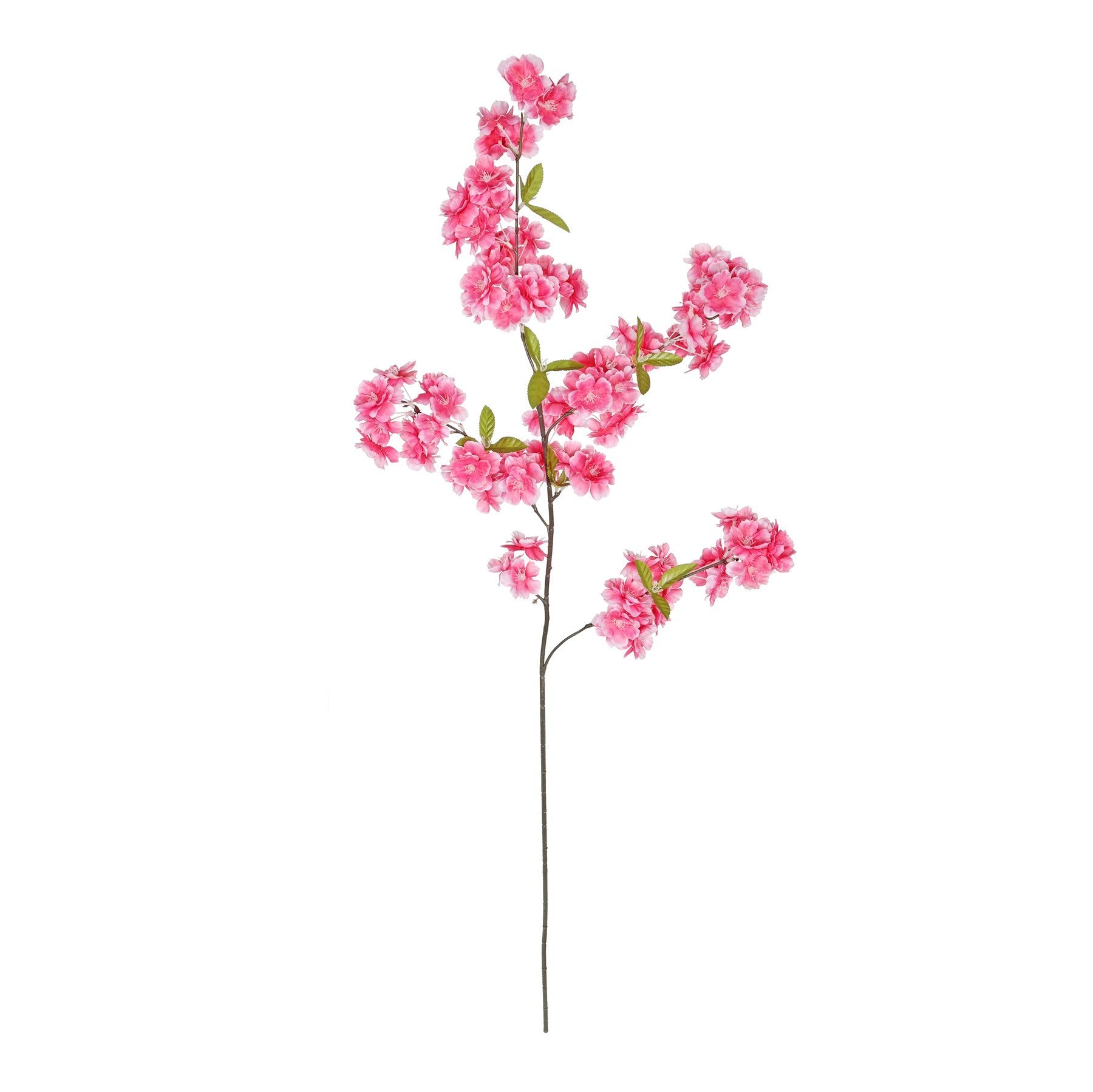 Dark Pink Cherry Blossom Stem