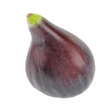 Artificial Fig (8cm)