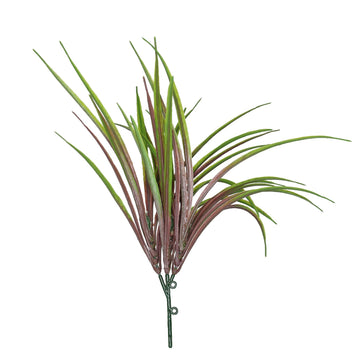 Purple Hardy Grass (30cm)