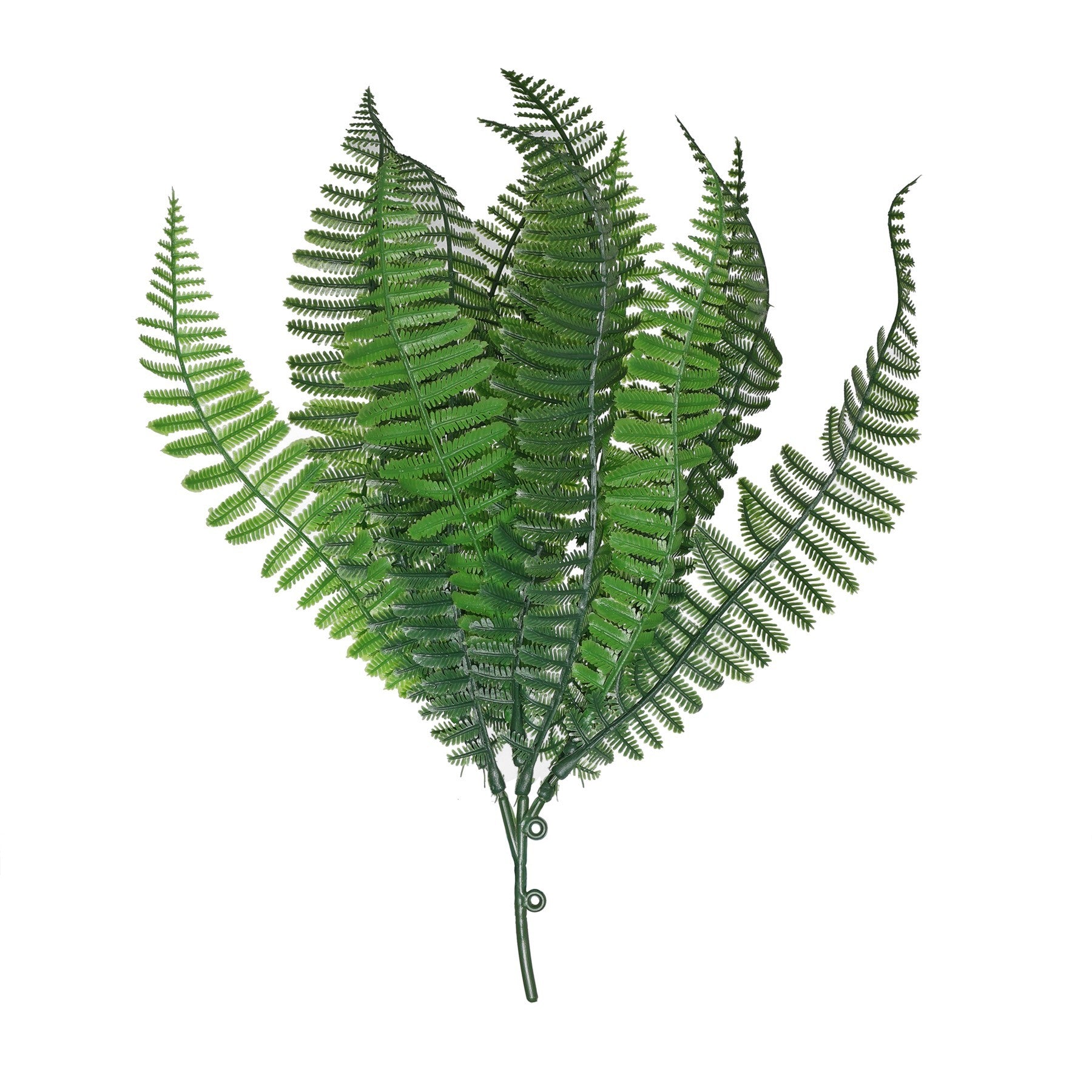 Green Shady Fern (30cm)