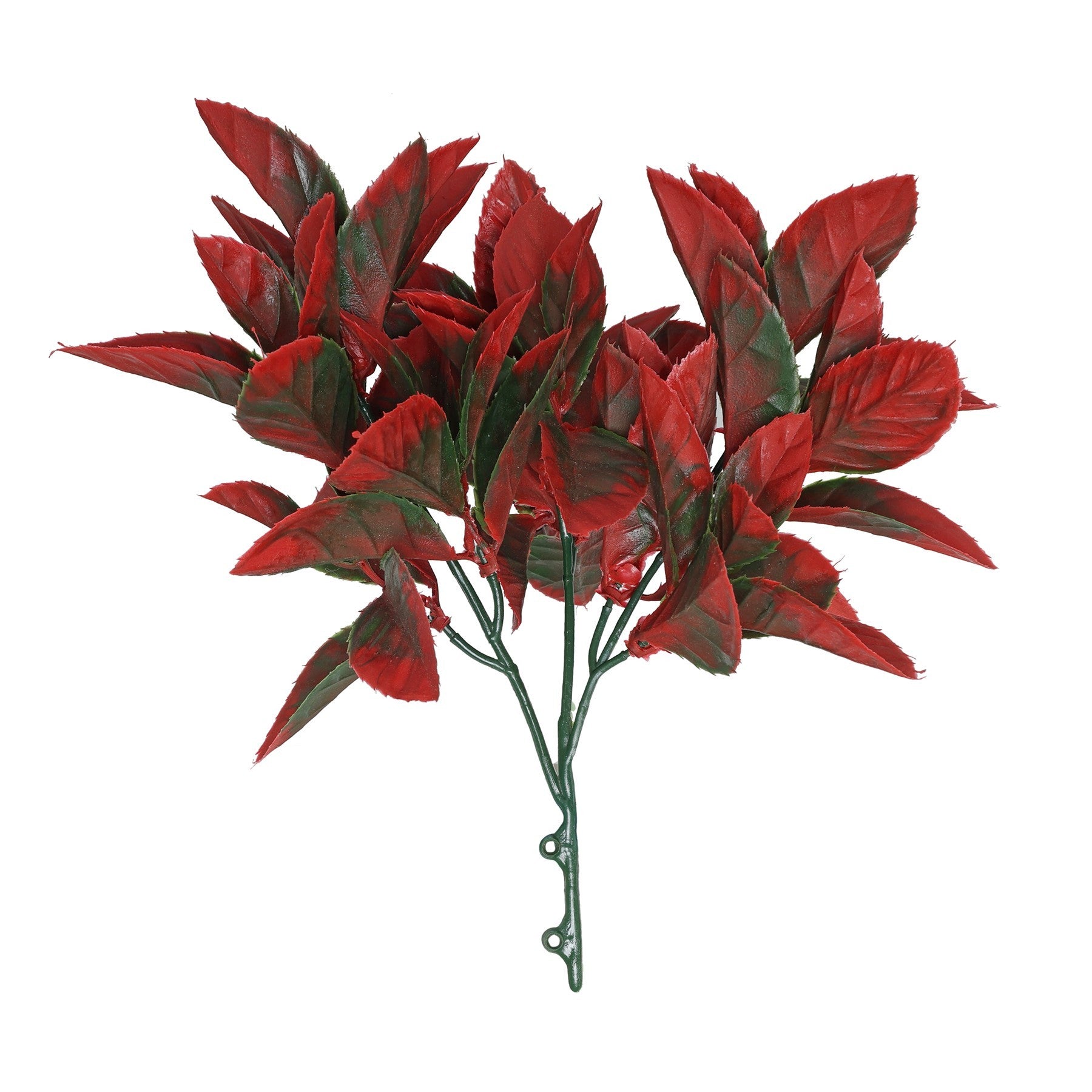 Red Fiery Bush (30cm)