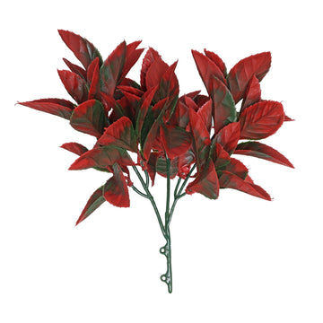 Red Fiery Bush (30cm)