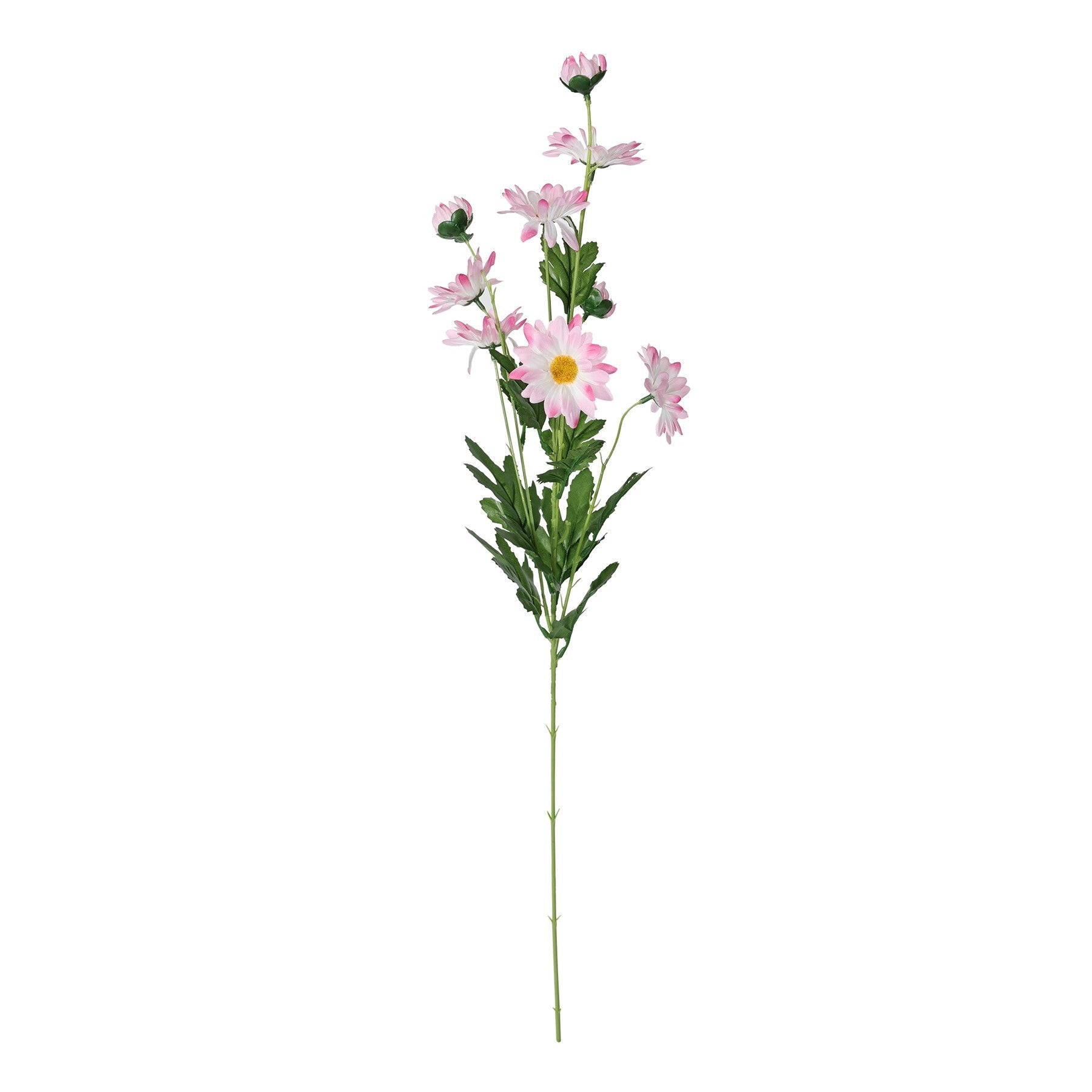 Pink Wild Daisy Spray (84cm)