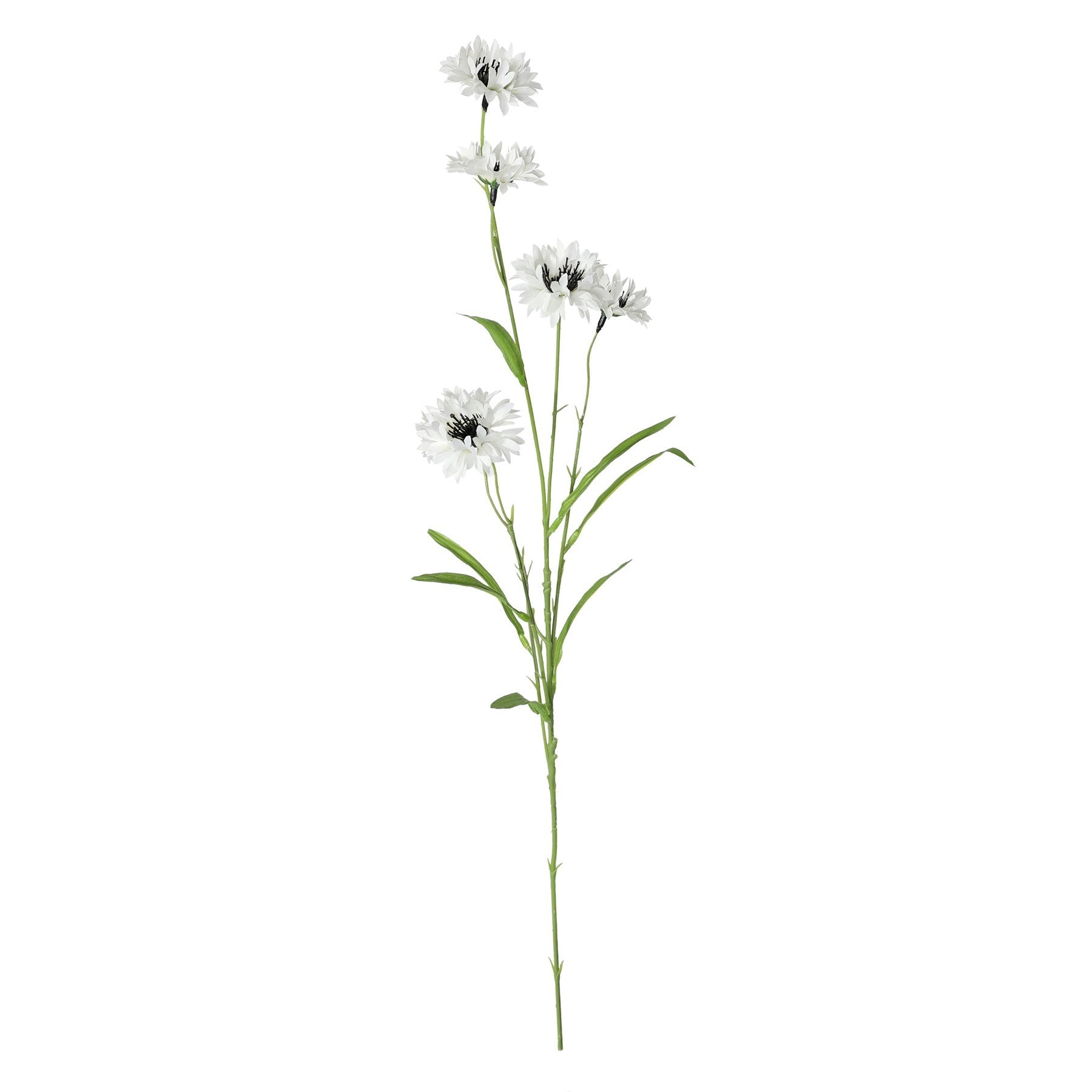 White Wild Cornflower Spray (63cm)