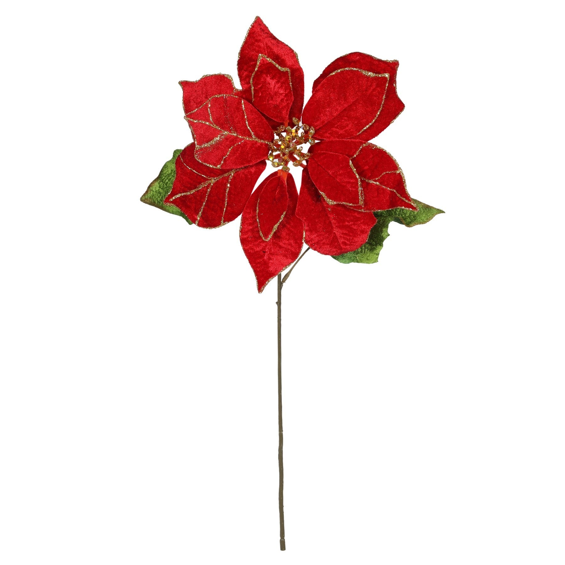 Single Red Poinsettia (50cm)