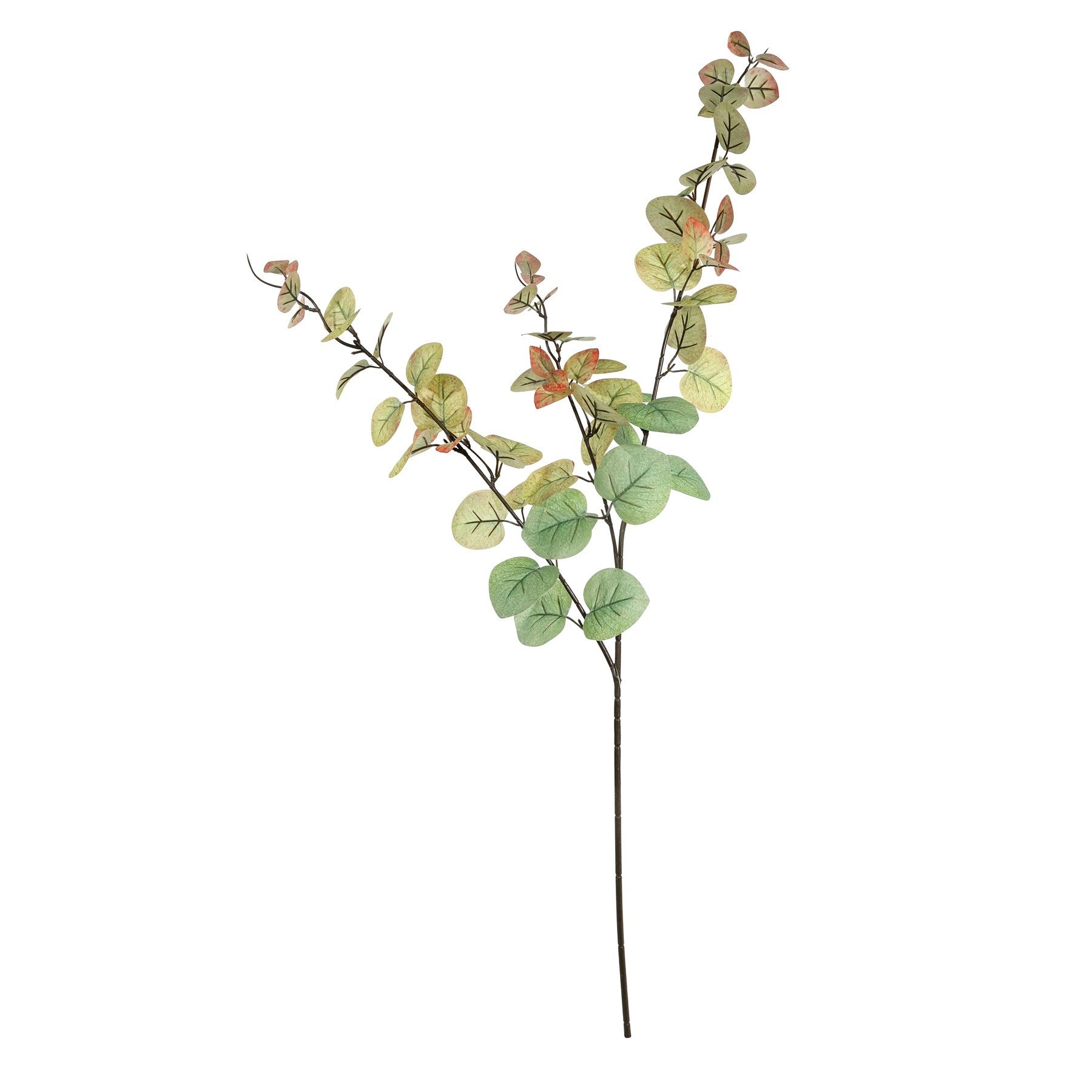 Essential Autumn Eucalyptus Stem - Green/Red