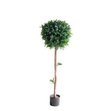 Artificial Laurel Bay Topiary (120cm)