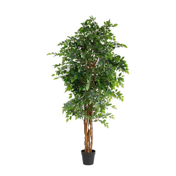 Artificial Ficus Multi Stem Tree (180cm)