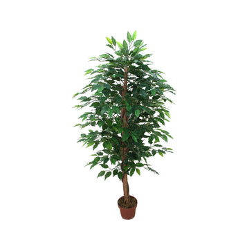 Artificial Ficus Tree (145cm)