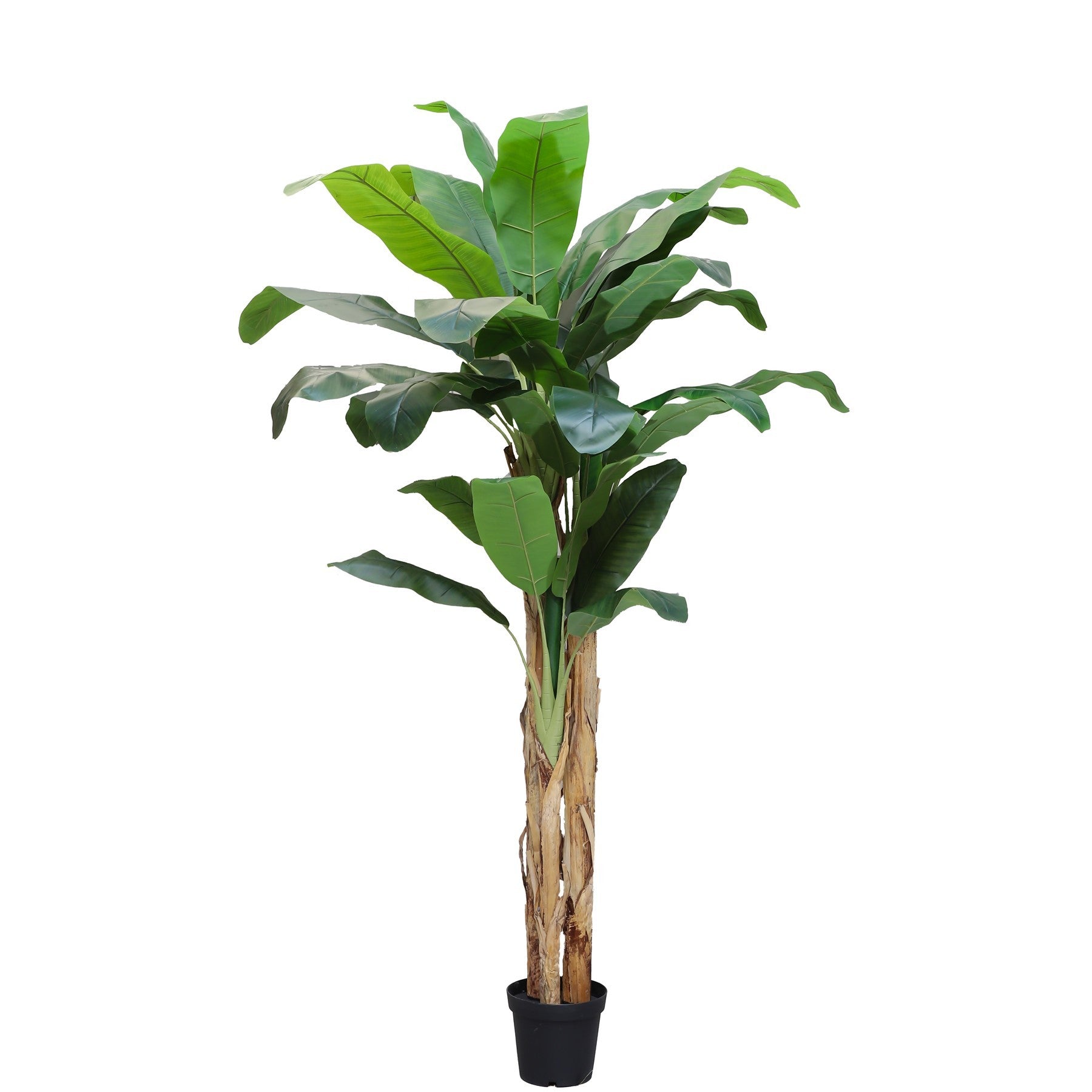 Artificial Banana Tree (250cm)