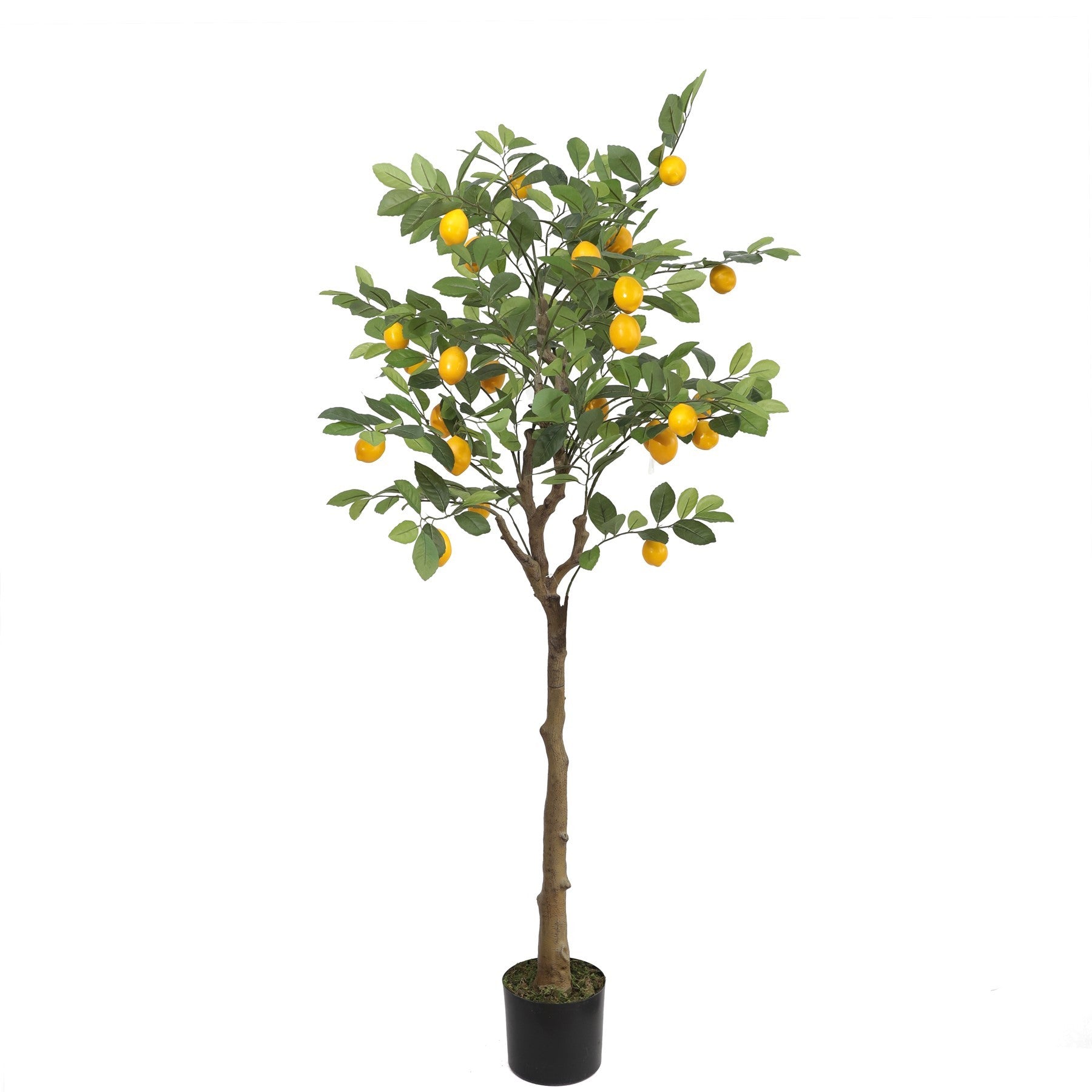 Artificial Lemon Tree (150cm)