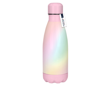 Assorted Girls Printed Metal Water Bottle (350ml)