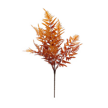 Essential Autumn Hardy Fern