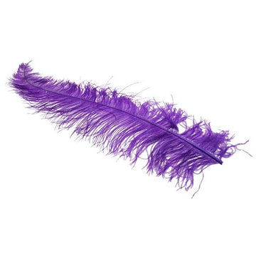 Purple Ostrich Feathers x5