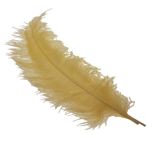 Gold Ostrich Feathers x5