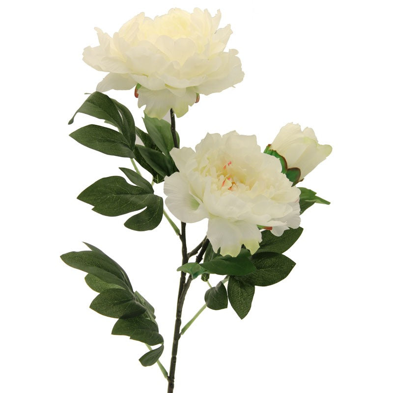 Three Peony  Cream 82cm