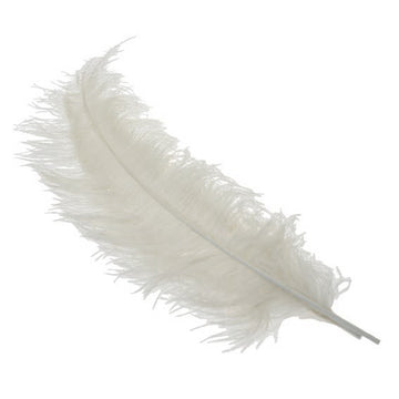 White Ostrich Feathers x 5