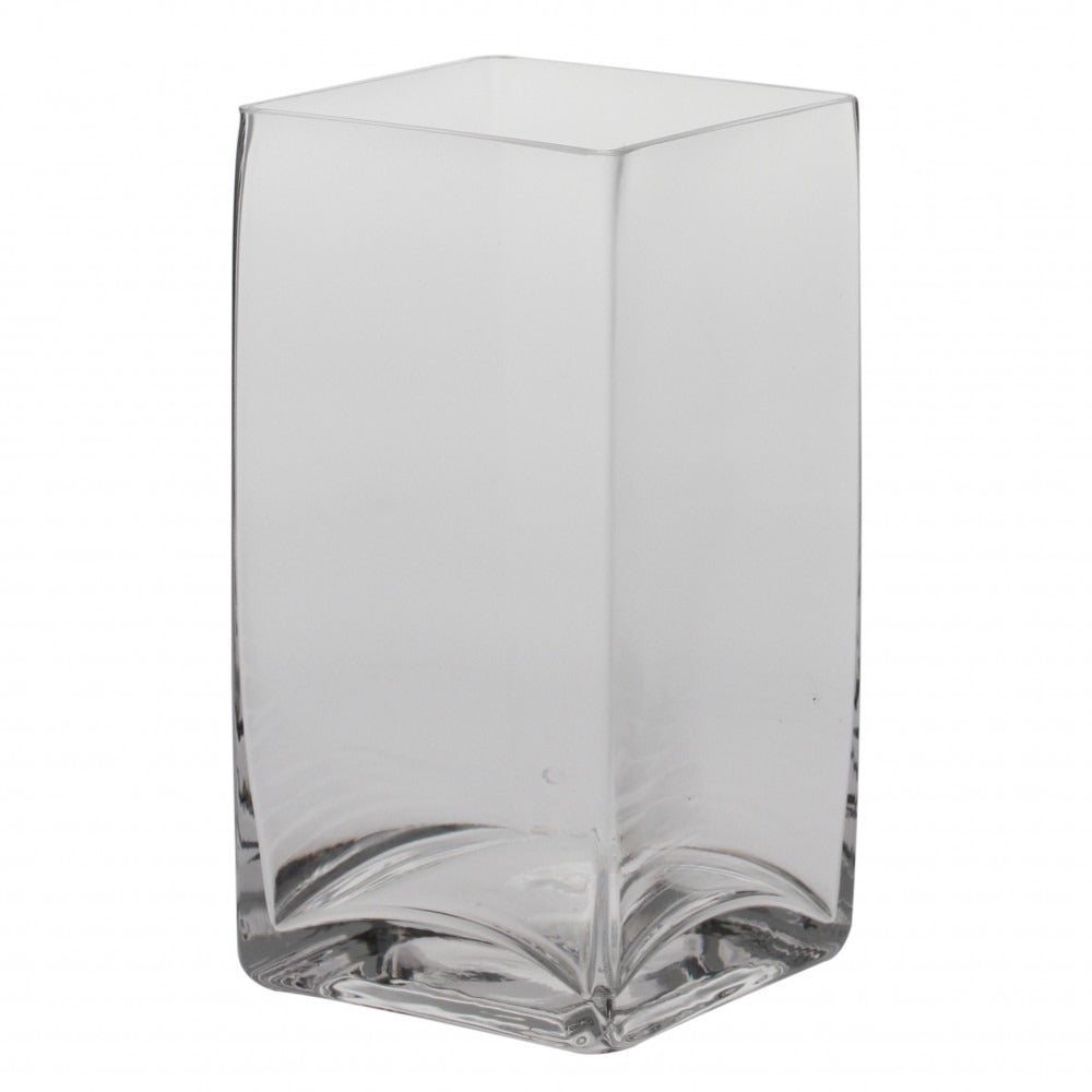 Glass Tank (20 x 10)