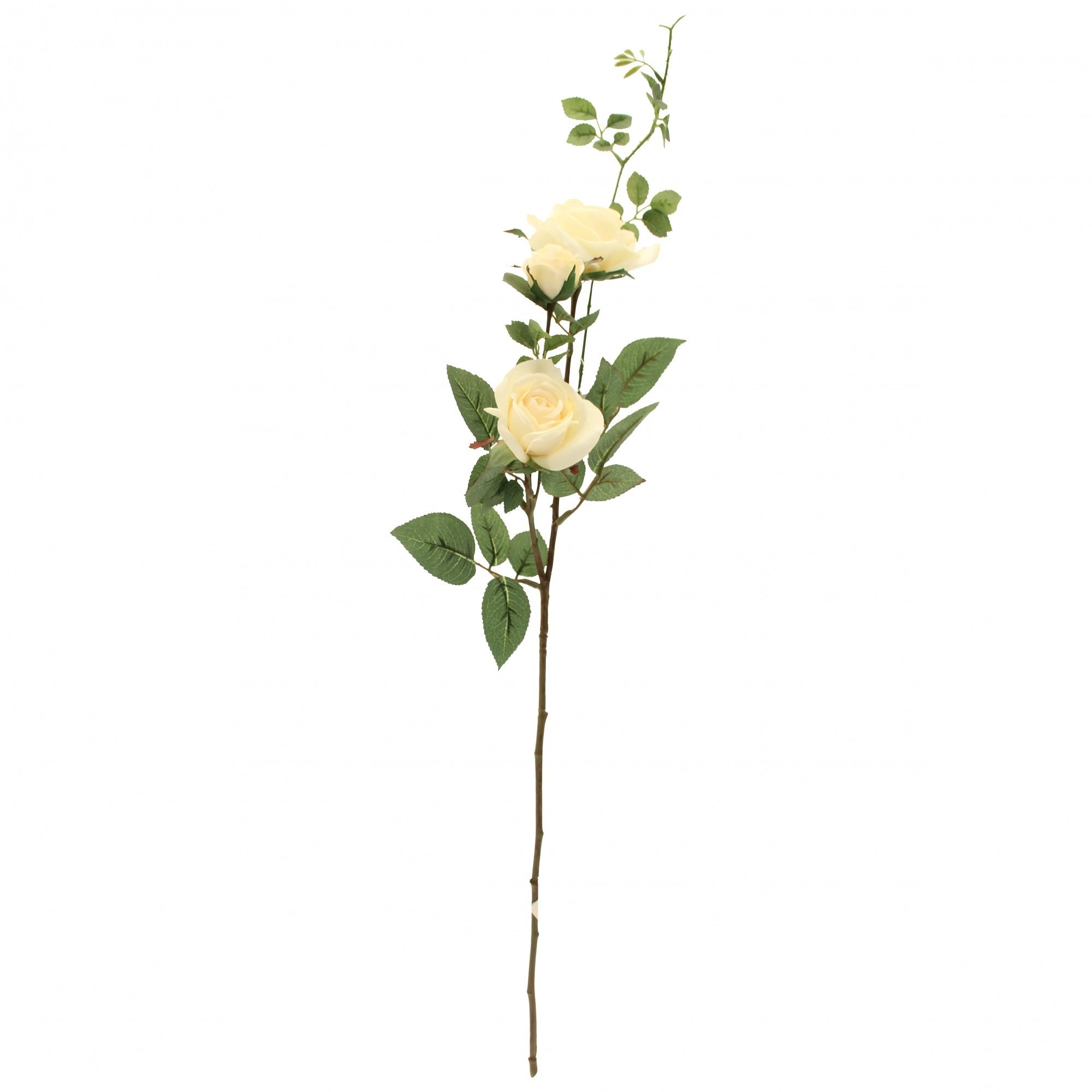 Cream Rose Spray (79cm)