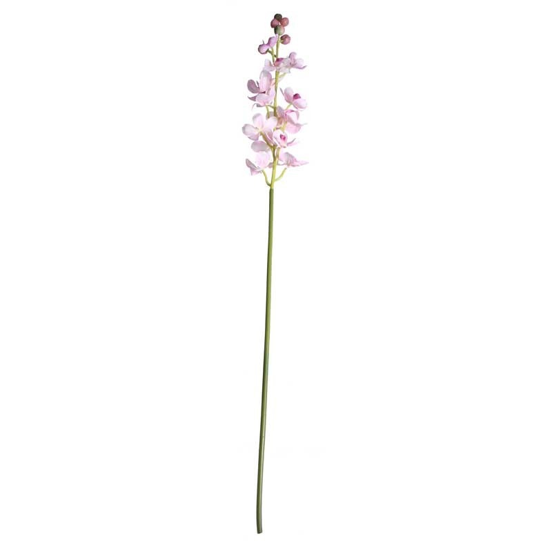 Dainty Orchid Blush Pink