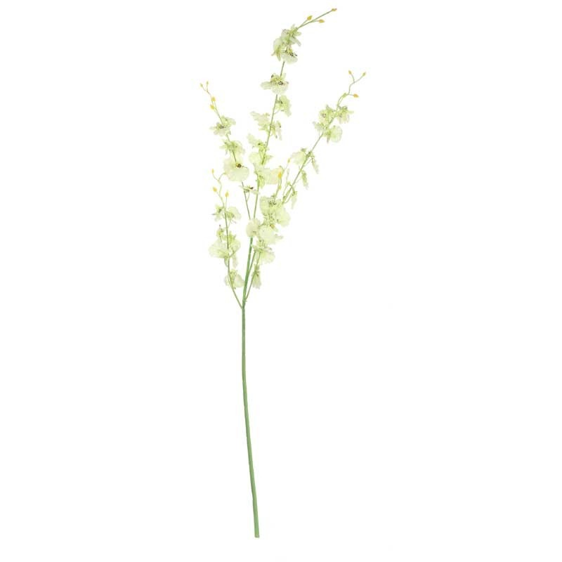 Green Dancing Orchid (88cm)