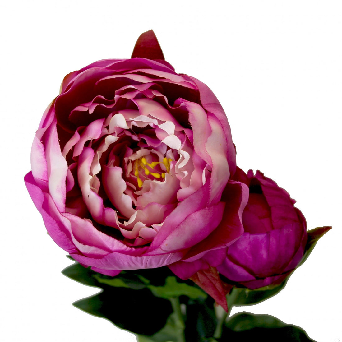 Peony Fuchsia (78cm)