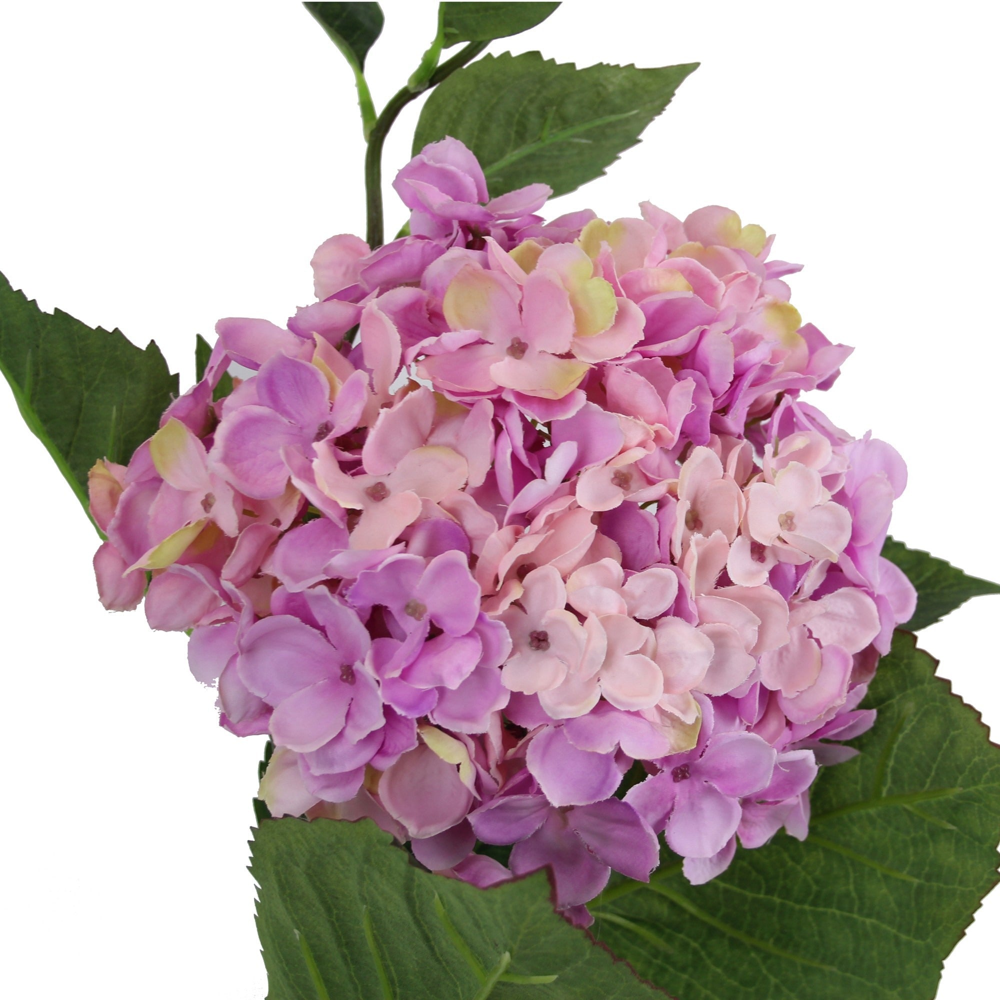 Large Hydrangea Purple & Pink