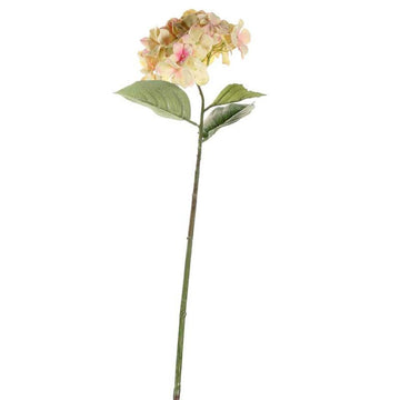 68cm Single Large Hydrangea Cream Blush