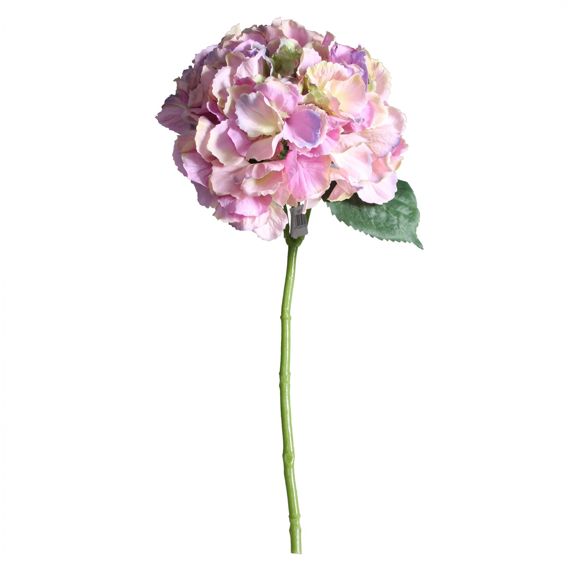 Short Stem Hydrangea Pink