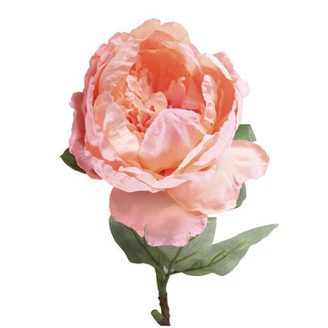 71cm Single Peony Peach