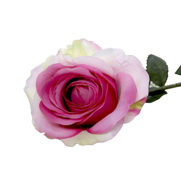 Small Camelot Open Rose Blush Pink