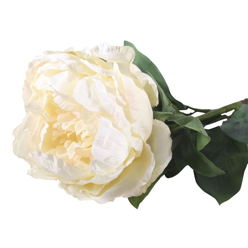 71cm Single Peony Cream