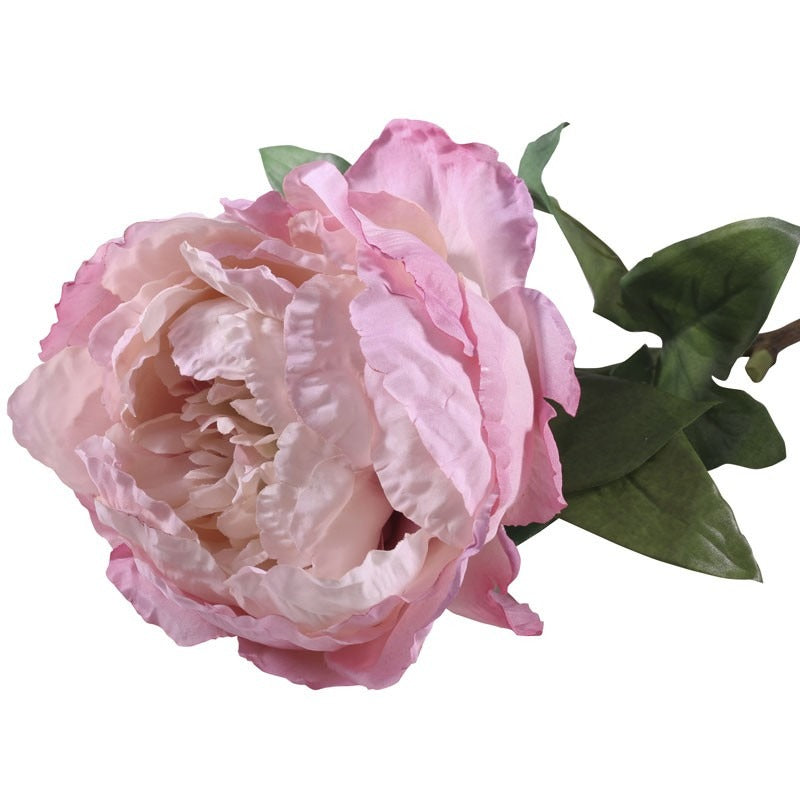 71cm Single Peony Pink