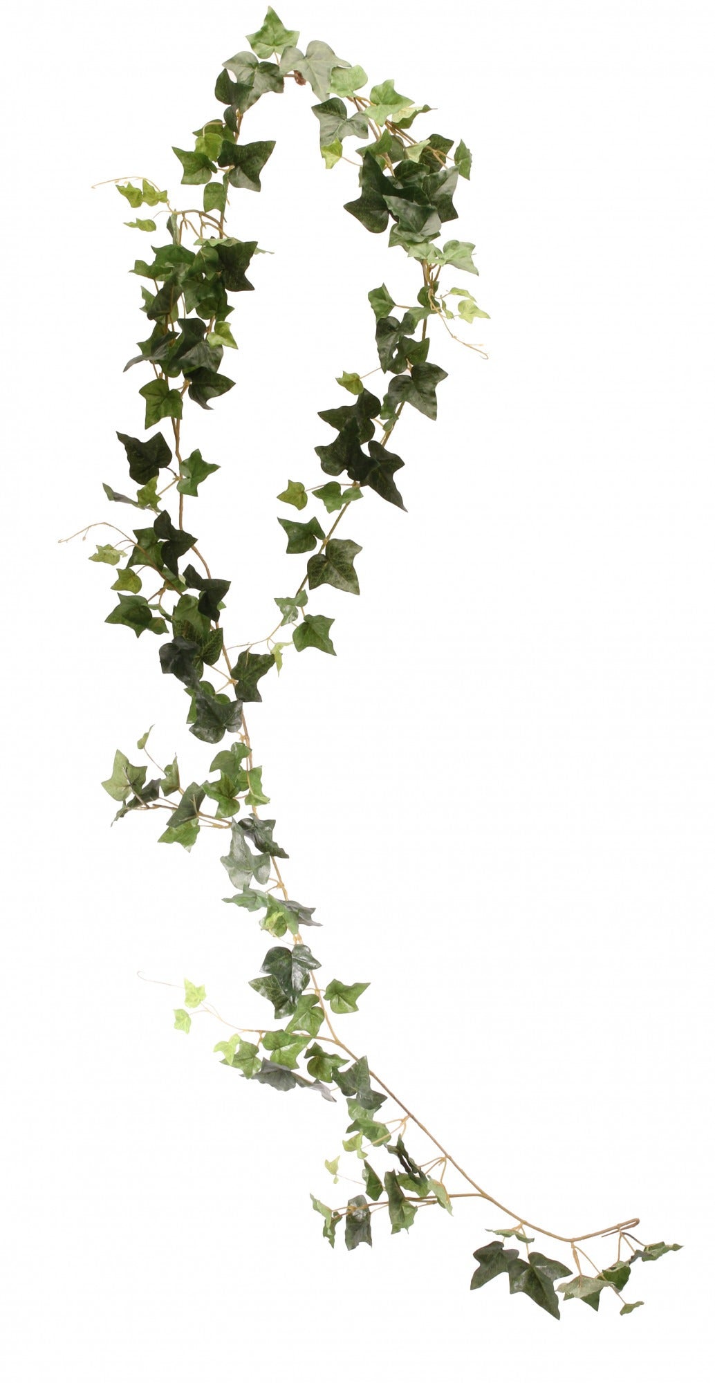 Irish Ivy Garland 6ft