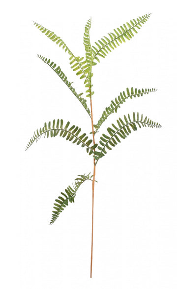 Mini Fern Spray 70cm