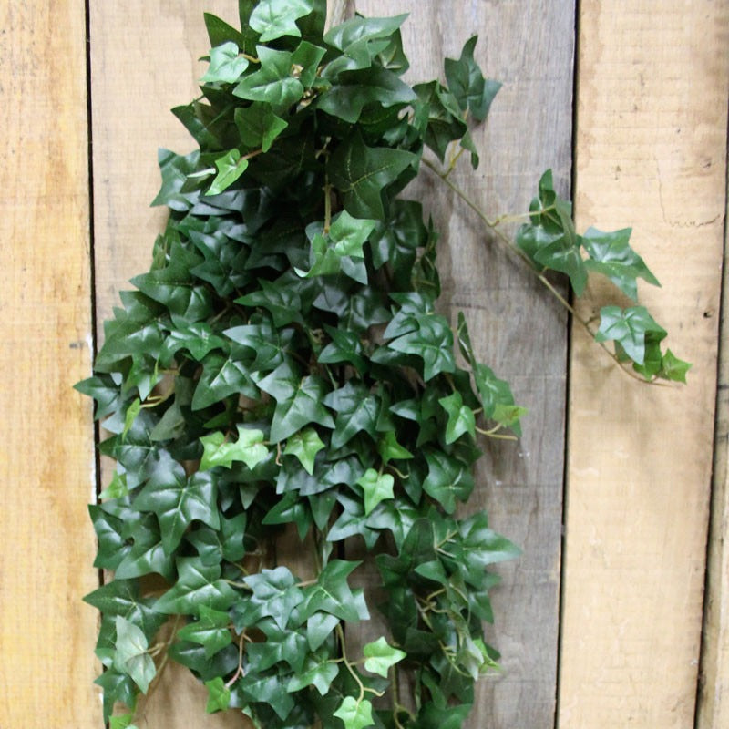 45 inchMini Ivy Hanging Bush