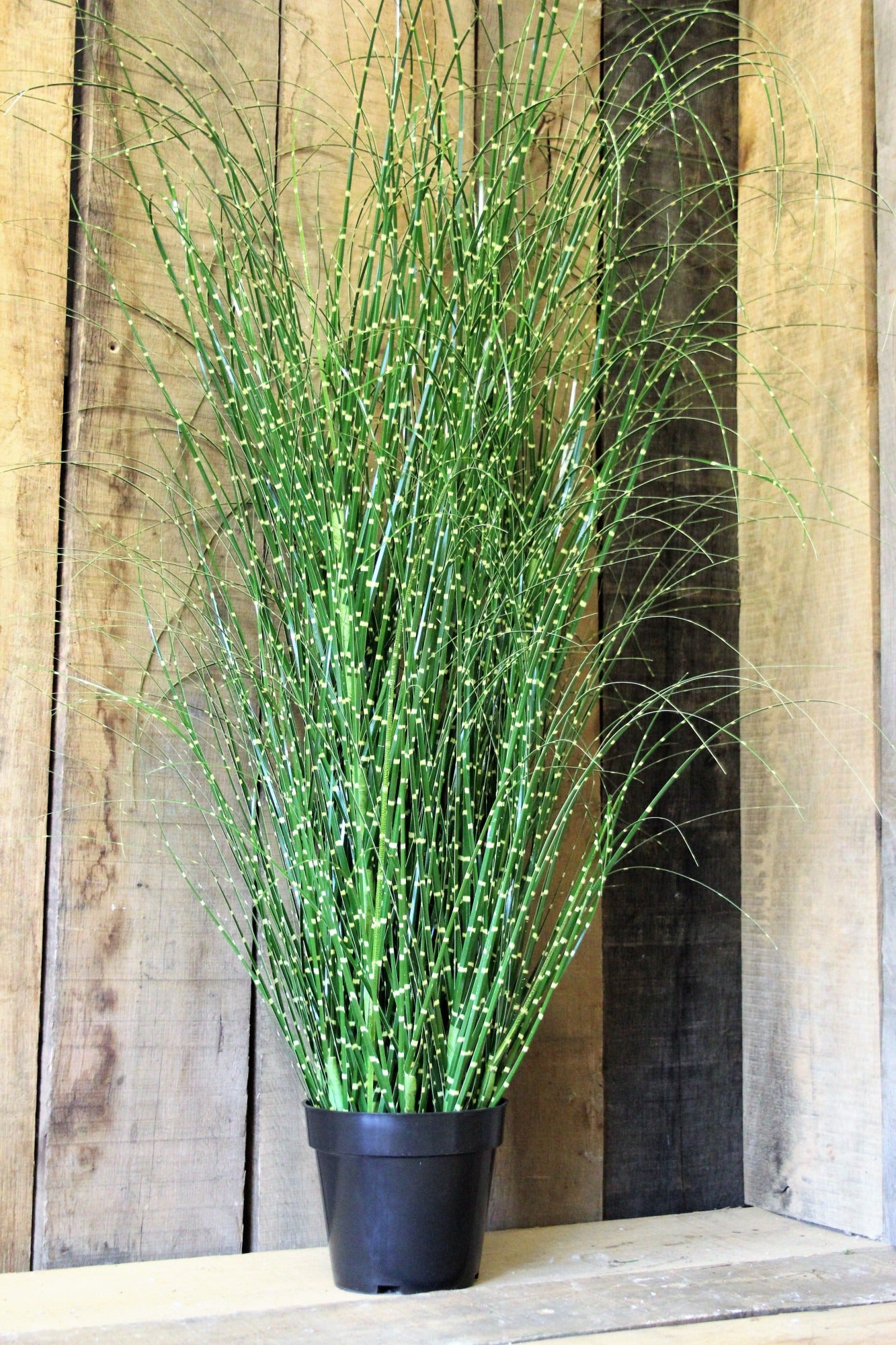 PVC Grass with detail 155cm