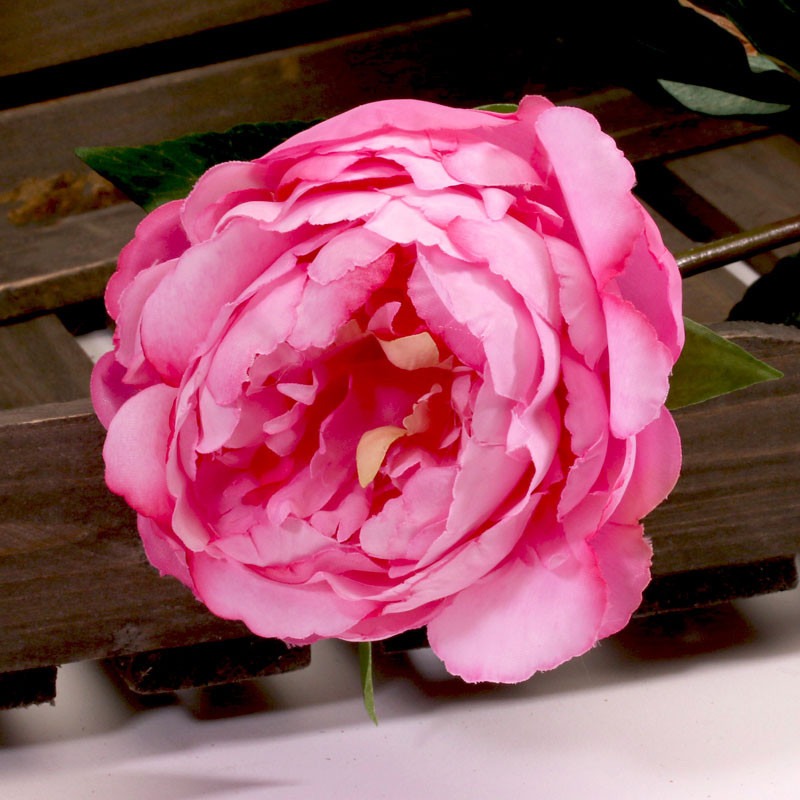 Single Peony Dark Pink 68cm