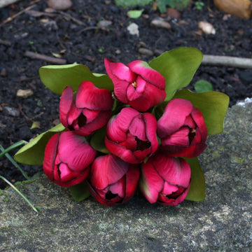 Tulip Bunch Red