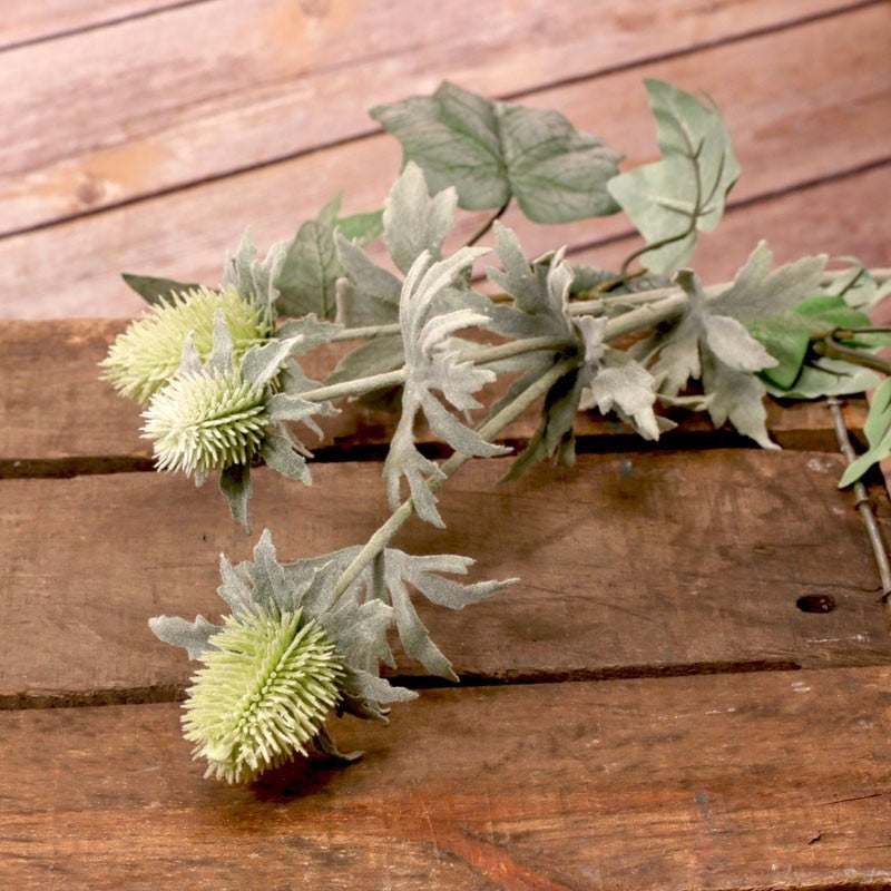 Green Thistle Spray x 3 Heads