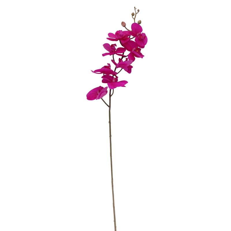 Cerise Pink Phalaenopsis Spray 34.5 inch