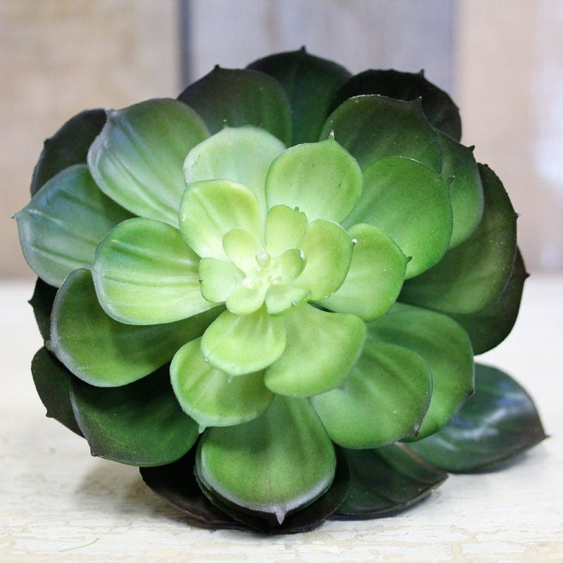 Succulent Pick 15cm