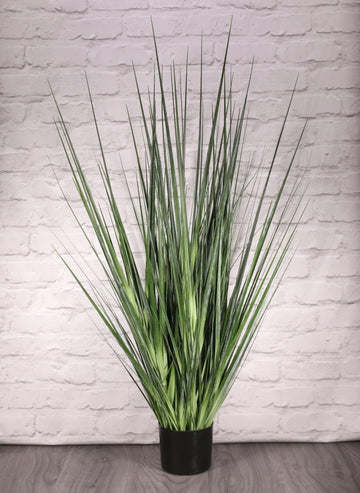 Potted Flat Grass (122cm)