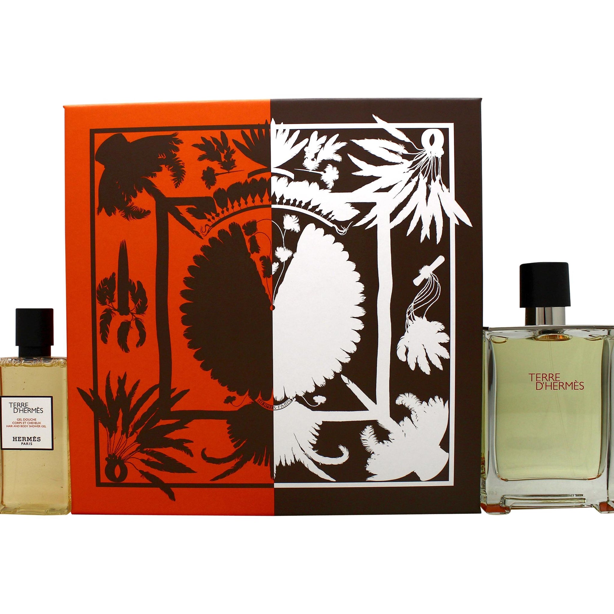 Hermès Terre d'Hermès Gift Set 100ml EDT + 80ml Shower Gel