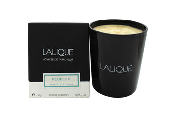 Lalique Candle 190g - Peuplier Aspen