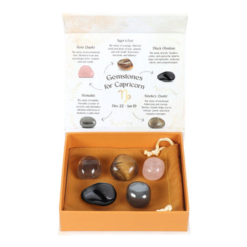 Capricorn Crystal Tumblestone Set