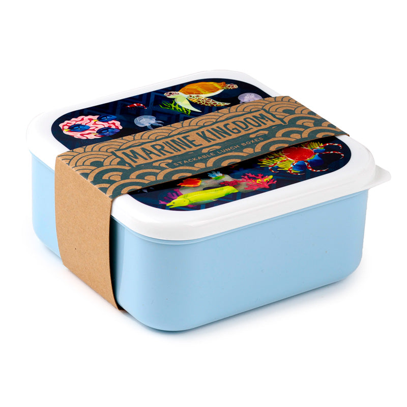 Lunch Boxes Set of 3 (M/L/XL) - Marine Kingdom