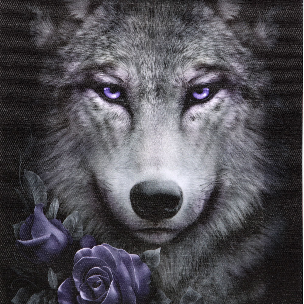 19x25cm Wolf Roses Canvas Plaque by Spiral Direct