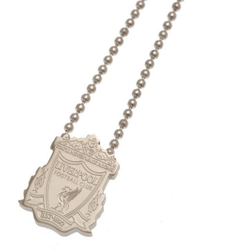 Liverpool FC Stainless Steel Pendant & Chain - Officially licensed merchandise.